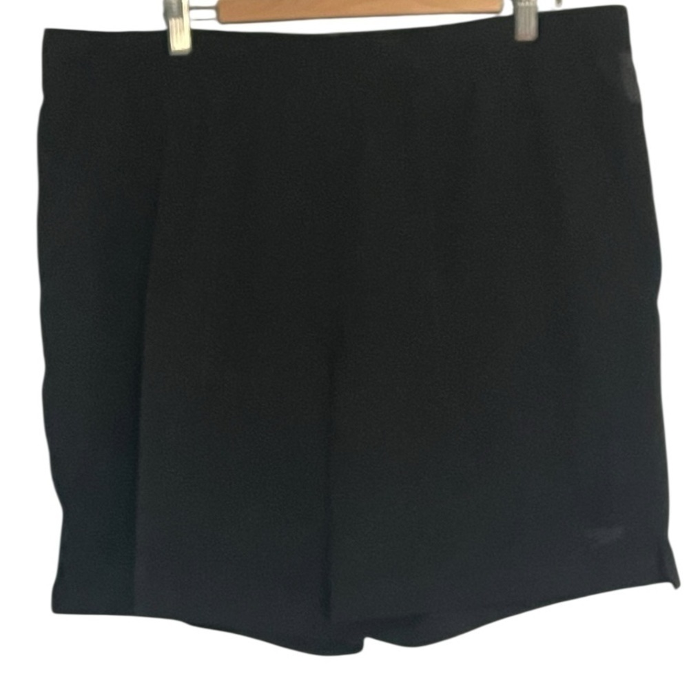 Speedo Men’s XXL Tech Volley Black Shorts EUC